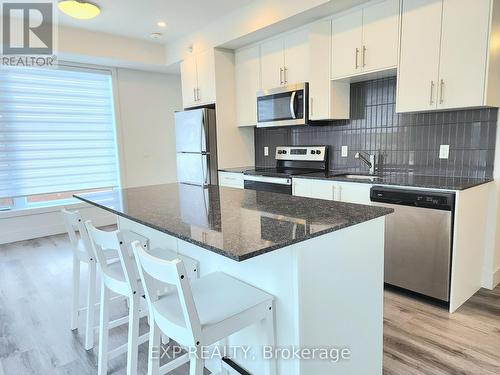 401 - 103 Roger Street, Waterloo, ON - Indoor Photo Showing Kitchen With Upgraded Kitchen