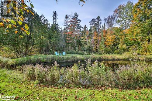 Picturesque Pond - 410 Etwell Road, Huntsville, ON - Outdoor