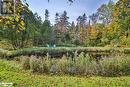 Picturesque Pond - 410 Etwell Road, Huntsville, ON  - Outdoor 