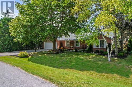 14 Hi View Drive, East Gwillimbury, ON - Outdoor