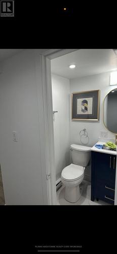 66 Wellington Street S, Hamilton, ON - Indoor Photo Showing Bathroom