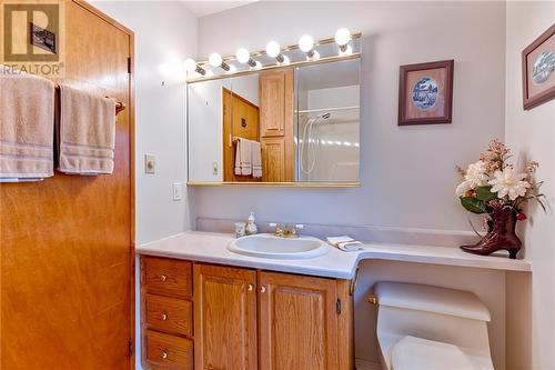 8 Dixon Street, Cobden, ON - Indoor Photo Showing Bathroom