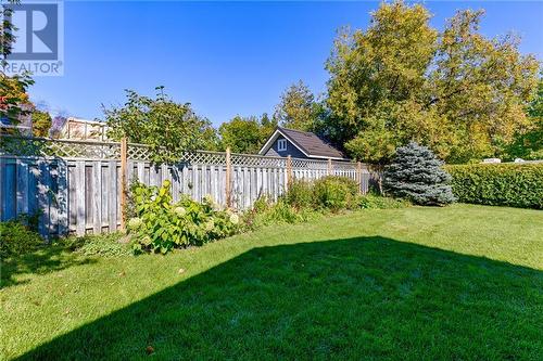 8 Dixon Street, Cobden, ON - Outdoor