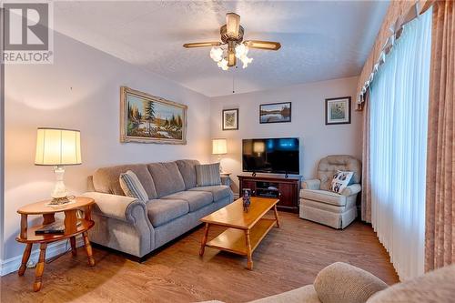 8 Dixon Street, Cobden, ON - Indoor Photo Showing Living Room