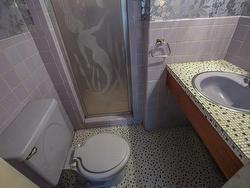 Ensuite bathroom - 