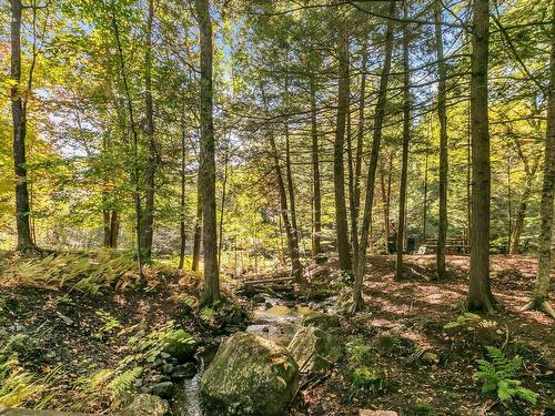 BoisÃ© - 104 Ch. Du Roi, Saint-Colomban, QC - Outdoor With View