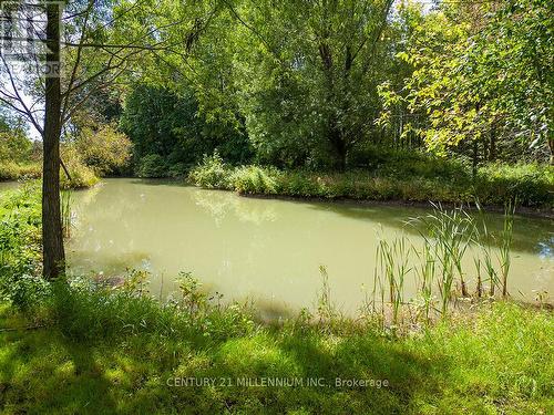 727302 22C Side Road, Blue Mountains, ON - Outdoor