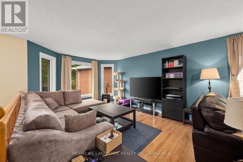 196 Columbia Road, Barrie, ON - Indoor Photo Showing Living Room