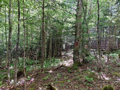 Lot 2 Tilled Shore Dr, Whiteside, NS 