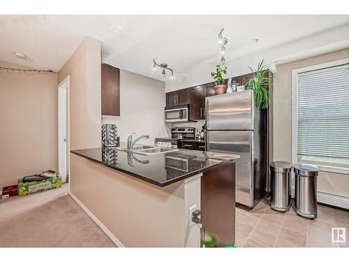 #219 11804 22 Av Sw, Edmonton, AB - Indoor Photo Showing Kitchen With Double Sink