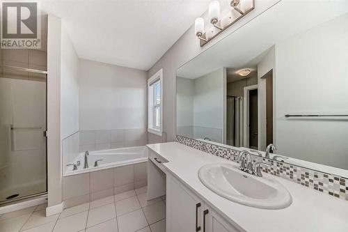 48 Nolanhurst Crescent Nw, Calgary, AB - Indoor Photo Showing Bathroom