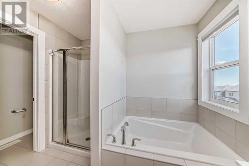 48 Nolanhurst Crescent Nw, Calgary, AB - Indoor Photo Showing Bathroom