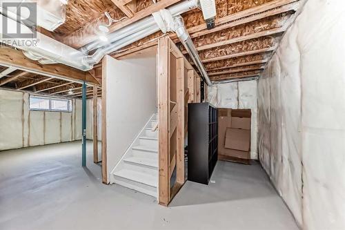 48 Nolanhurst Crescent Nw, Calgary, AB - Indoor Photo Showing Basement