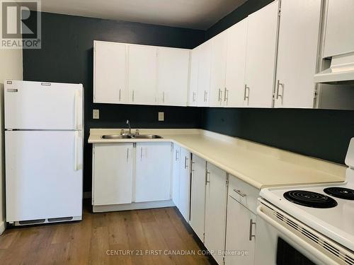 1004 - 583 Mornington Avenue, London, ON - Indoor Photo Showing Kitchen With Double Sink