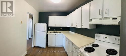 1004 - 583 Mornington Avenue, London, ON - Indoor Photo Showing Kitchen