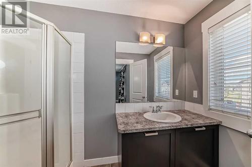 145 Skyview Point Green Ne, Calgary, AB - Indoor Photo Showing Bathroom