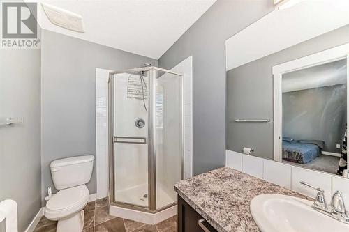 145 Skyview Point Green Ne, Calgary, AB - Indoor Photo Showing Bathroom