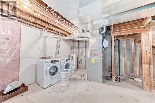 145 Skyview Point Green Ne, Calgary, AB - Indoor Photo Showing Laundry Room