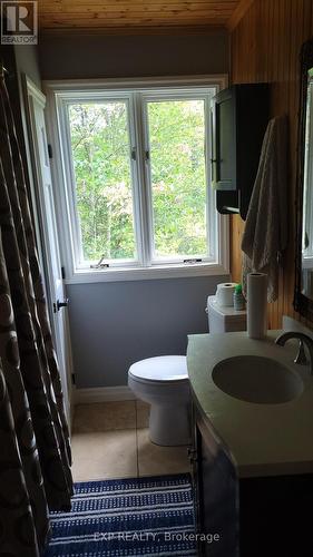 1468 Georgian Bay Water, The Archipelago, ON - Indoor Photo Showing Bathroom