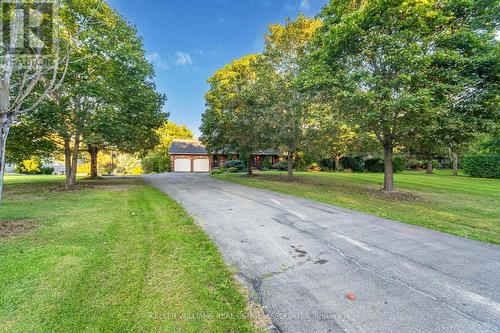 7521 Keenansville Road, New Tecumseth, ON - Outdoor