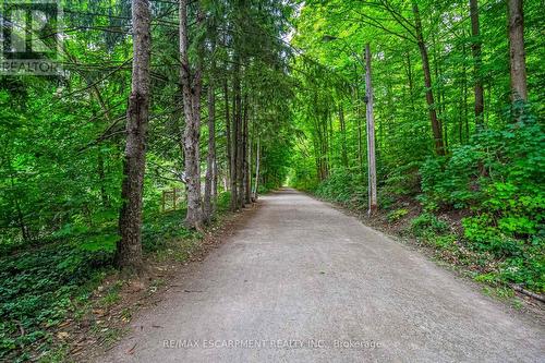 1 Hillcrest Court, Hamilton, ON - Outdoor