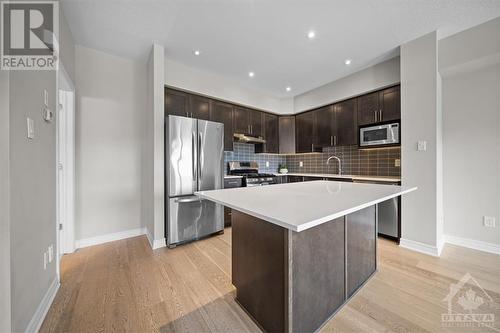 220 Leather Leaf Terrace, Ottawa, ON - Indoor Photo Showing Kitchen With Upgraded Kitchen