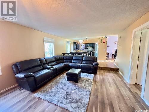 911 Bercovich Crescent, Regina, SK - Indoor Photo Showing Living Room