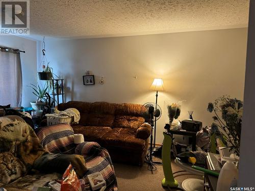 435-437 Froom Crescent, Regina, SK - Indoor Photo Showing Living Room