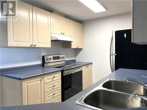 310 Central Park Drive Unit#6A, Ottawa, ON - Indoor Photo Showing Kitchen With Double Sink