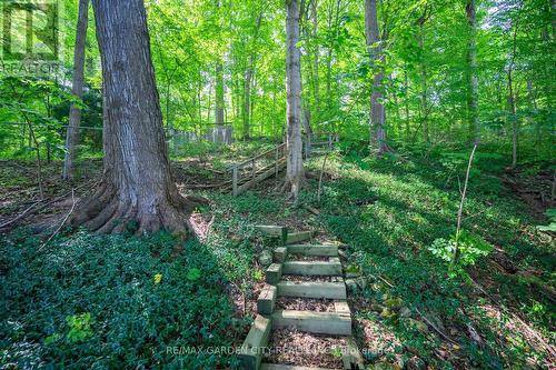 60 Maple Drive, Hamilton, ON - Outdoor