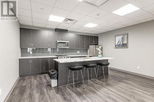 103 - 81 Robinson Street, Hamilton, ON - Indoor Photo Showing Kitchen With Upgraded Kitchen