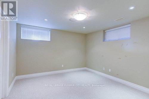 38 Brookhaven Crescent, East Garafraxa, ON - Indoor Photo Showing Basement