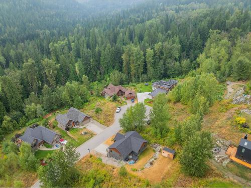 810 White Tail Drive, Rossland, BC - Outdoor With View