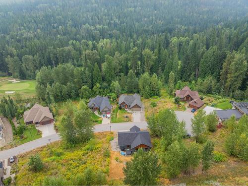 810 White Tail Drive, Rossland, BC - Outdoor With View