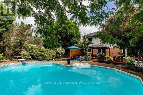 203 Bluebell Crescent, Hamilton (Ancaster), ON - Outdoor With In Ground Pool With Backyard