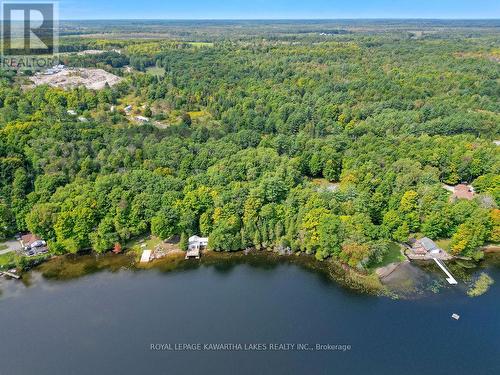 7190 Hwy 35 Road N, Kawartha Lakes, ON - Outdoor With Body Of Water With View