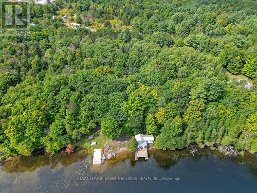 7190 Hwy 35 Road N, Kawartha Lakes, ON - Outdoor With Body Of Water