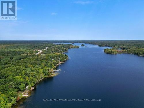 7190 Hwy 35 Road N, Kawartha Lakes, ON - Outdoor With Body Of Water With View