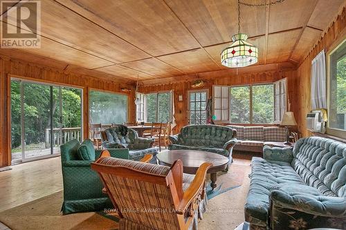 7190 Hwy 35 Road N, Kawartha Lakes, ON - Indoor Photo Showing Living Room