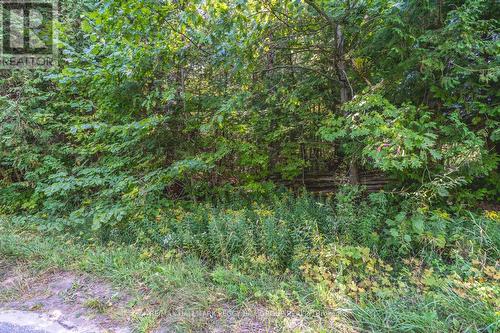 Lot 3 Line 8 N, Oro-Medonte, ON 