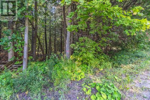 Lot 3 Line 8 N, Oro-Medonte, ON 