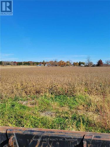 52161 Willford Road, Wainfleet, ON - Outdoor With View