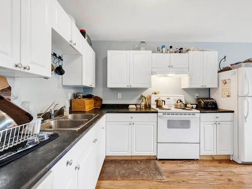 387 Monmouth Drive, Kamloops, BC - Indoor Photo Showing Kitchen With Double Sink