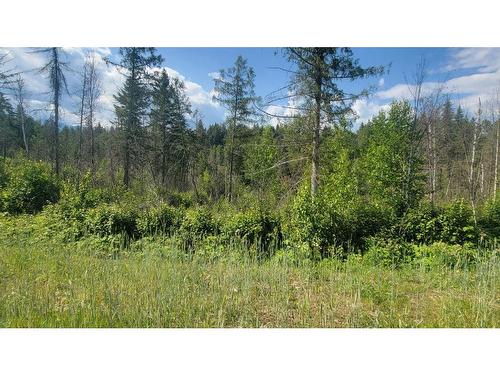 Lot 1-Dl 2620 Yellowhead Highway, Clearwater, BC 