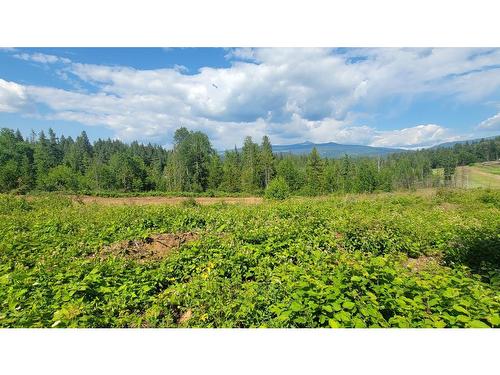 Lot 1-Dl 2620 Yellowhead Highway, Clearwater, BC 