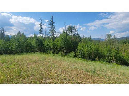 Lot 1-Dl 2620 Yellowhead Highway, Clearwater, BC 