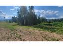 Lot 1-Dl 2620 Yellowhead Highway, Clearwater, BC 