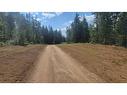 Lot 1-Dl 2620 Yellowhead Highway, Clearwater, BC 