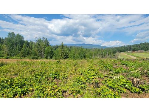 Lot 1-Dl 2620 Yellowhead Highway, Clearwater, BC 