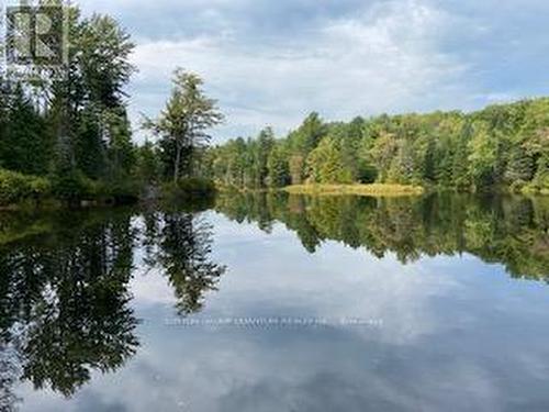 Part 6 - 1760 Purbrook Road, Bracebridge, ON 